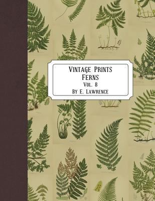 Vintage Prints: Ferns: Vol. 8 1721524460 Book Cover