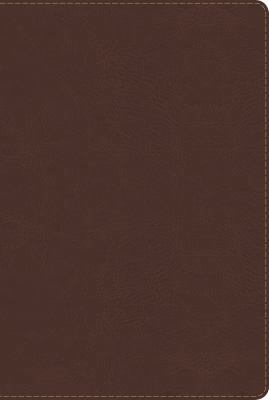 Biblia de Estudio Arco Iris-Rvr 1960 [Spanish] 143360678X Book Cover