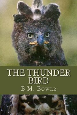 The Thunder Bird 1537264095 Book Cover