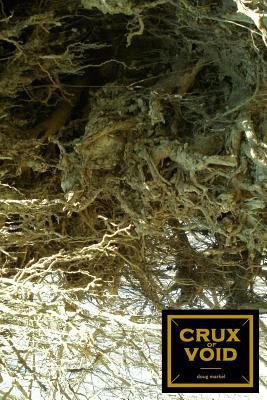 crux of void 1387144421 Book Cover
