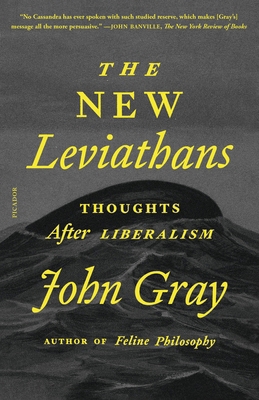 The New Leviathans: Thoughts After Liberalism 125033831X Book Cover