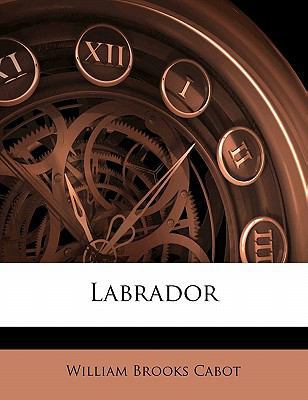 Labrador 1176755331 Book Cover