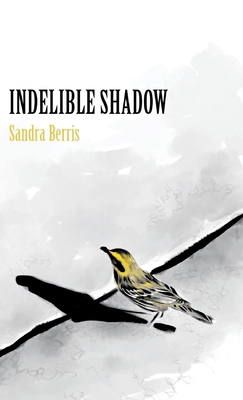 Indelible Shadow B0CYLK7G3R Book Cover