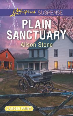 Plain Sanctuary [Large Print] 0373678118 Book Cover