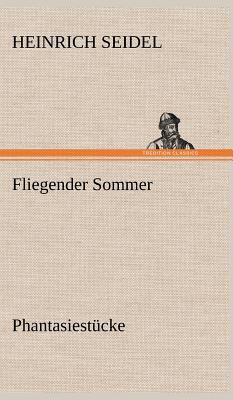 Fliegender Sommer [German] 3847261533 Book Cover