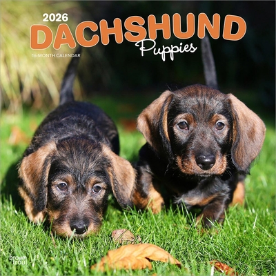 Dachshund Puppies 2026 12 X 24 Inch (Hanging) M... B0DYLMQLMR Book Cover