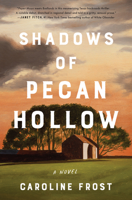 Shadows of Pecan Hollow 0063065347 Book Cover