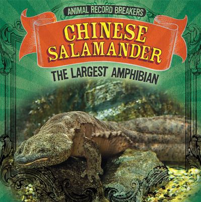 Chinese Salamander: The Largest Amphibian 1725308665 Book Cover
