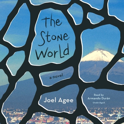 The Stone World B0B9QPYH36 Book Cover