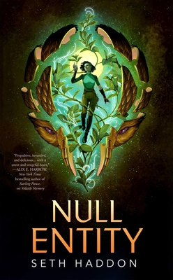 Null Entity (The Volatile Memory Duology, 2) 1250395984 Book Cover