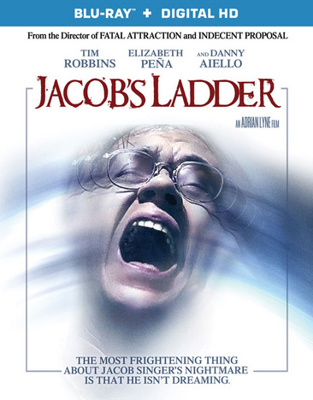 Jacob's Ladder            Book Cover