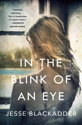 In the Blink of an Eye 1250252946 Book Cover
