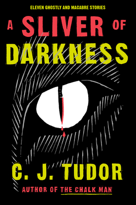 A Sliver of Darkness 0385684444 Book Cover