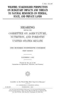 Wildfire: stakeholder perspectives on budgetary... 198128866X Book Cover
