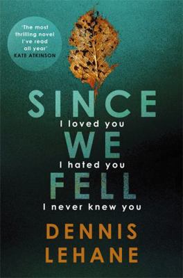 Since We Fell 1408708345 Book Cover