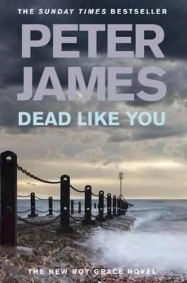 Dead Like You 0330520504 Book Cover