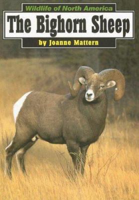 The Bighorn Sheep 073688484X Book Cover