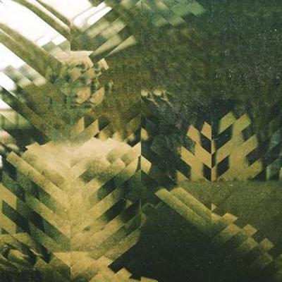 ...  Ie  Green Vinyl B09KV8PXB9 Book Cover