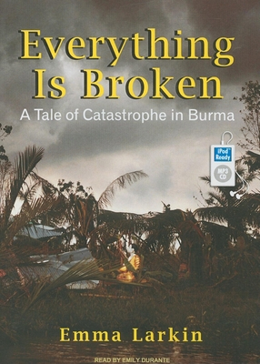 Everything Is Broken: A Tale of Catastrophe in ... 1400167043 Book Cover