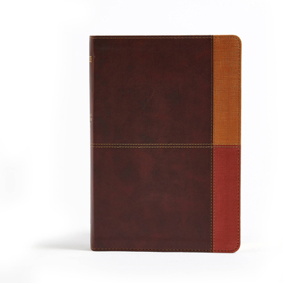 NIV Rainbow Study Bible, Cocoa/Terra Cotta/Ochr... 1433646110 Book Cover