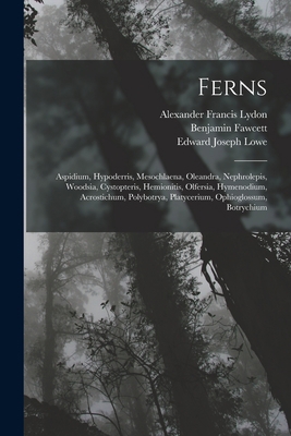 Ferns: Aspidium, Hypoderris, Mesochlaena, Olean... 1017619174 Book Cover