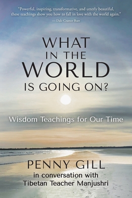 What in the World is Going On?: Wisdom Teaching... B0BW37KXL9 Book Cover
