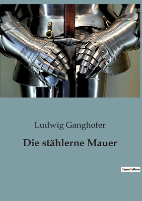 Die stählerne Mauer: Einblicke in die deutsche ... [German] B0BY4JGV3C Book Cover