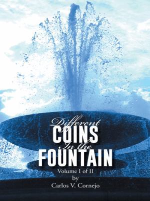 Different Coins in the Fountain: Volume I of II 1491824425 Book Cover