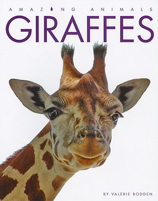 Amazing Animals: Giraffes 1897563663 Book Cover