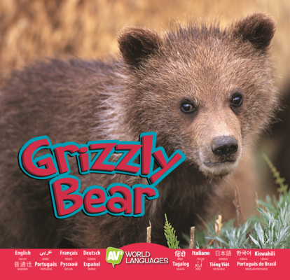 Grizzly Bear B0GMZLYYCS Book Cover