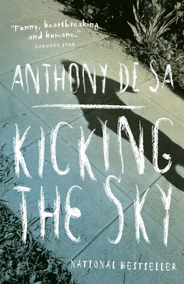 Kicking the Sky 0385664397 Book Cover