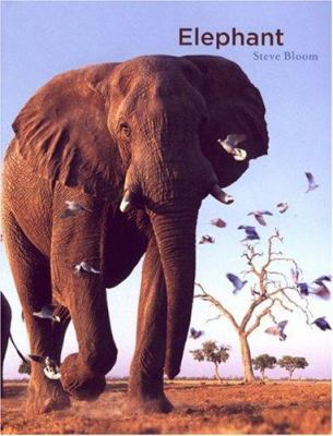 Elephant book by Steve Bloom
