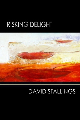 Risking Delight 1947465767 Book Cover