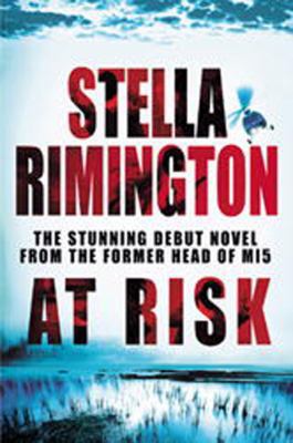 At Risk 0091799961 Book Cover