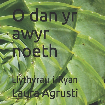 O dan yr awyr noeth: Llythyrau i Ryan [Welsh] 1657192474 Book Cover