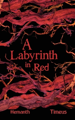 A Labyrinth in Red B0DZP3GPJ5 Book Cover