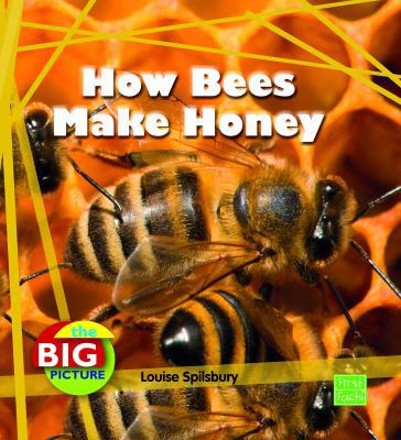 How Bees Make Honey 1429655364 Book Cover