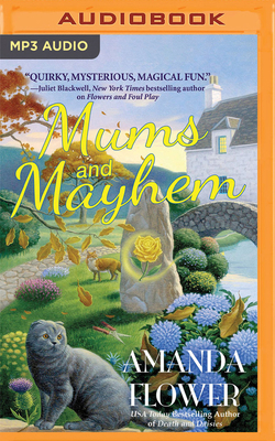 Mums and Mayhem 1713561840 Book Cover