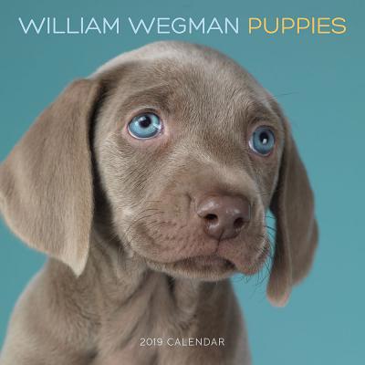 William Wegman Puppies 2019 Wall Calendar 1419730037 Book Cover