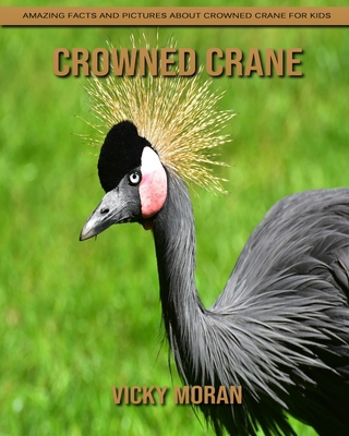 Paperback Crowned Crane: Amazing Facts and Pictures about Crowned Crane for Kids [Large Print] Book