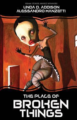 The Place of Broken Things 164633857X Book Cover