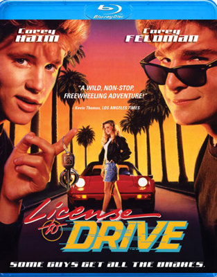 License To Drive            Book Cover