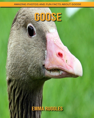 Goose: Amazing Photos and Fun Facts about Goose