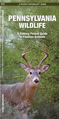 Pennsylvania Wildlife 1583554831 Book Cover