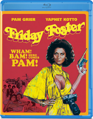 Friday Foster            Book Cover