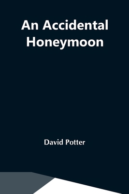 An Accidental Honeymoon 9354591043 Book Cover