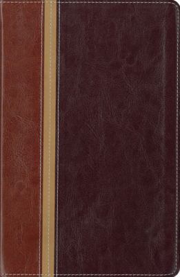 Message Parallel Study Bible-PR-NIV/MS-Numbered... 0310939844 Book Cover