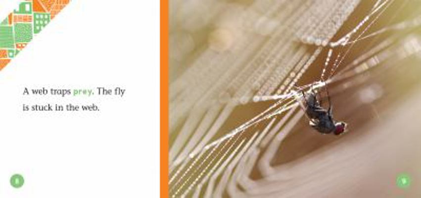 Webs 153218526X Book Cover