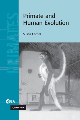 Primate and Human Evolution 1108949436 Book Cover