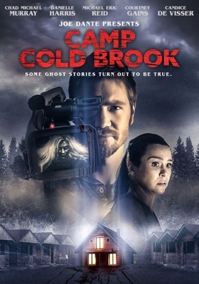Camp Cold Brook            Book Cover